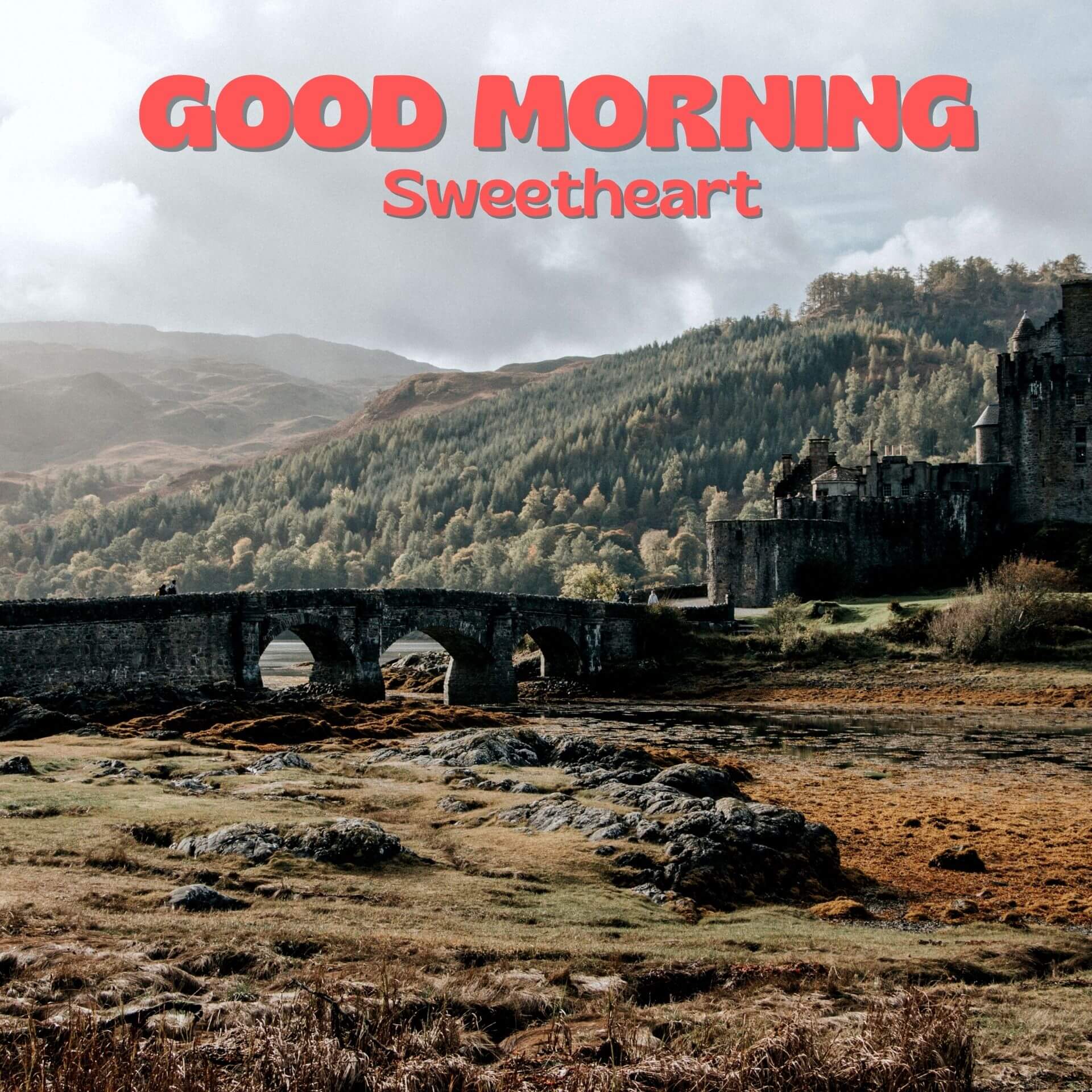Romantic Good Morning Wallpaper Free Download 4