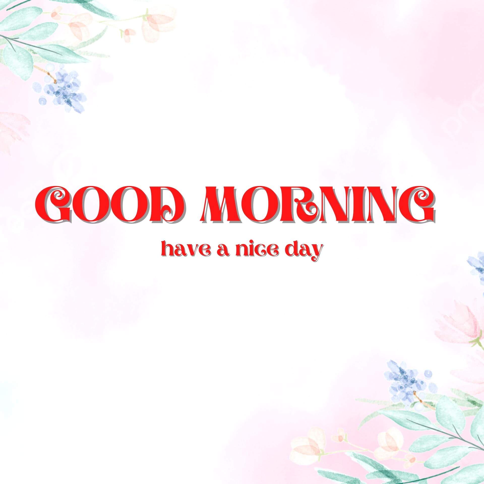 Special Good Morning Images pics Free Download