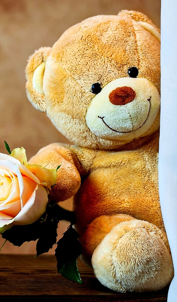 Teddy Bear Images Photo Pics Free Download