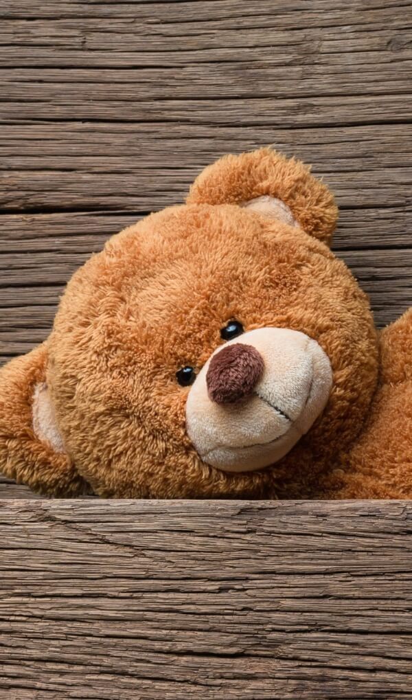 259+ Teddy Bear Images Download