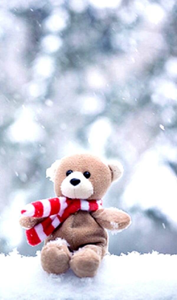 Teddy Bear Images Wallpaper Pics Download Free 2023