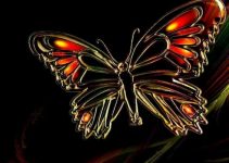 56+ Good Morning Images Photo Pics With Butterfly Download