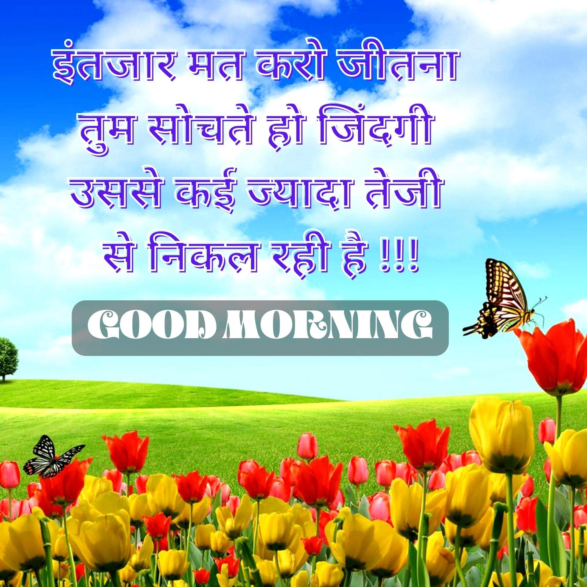 Top HD Good Morning Images With Hindi Quotes Images Pics Download 2023