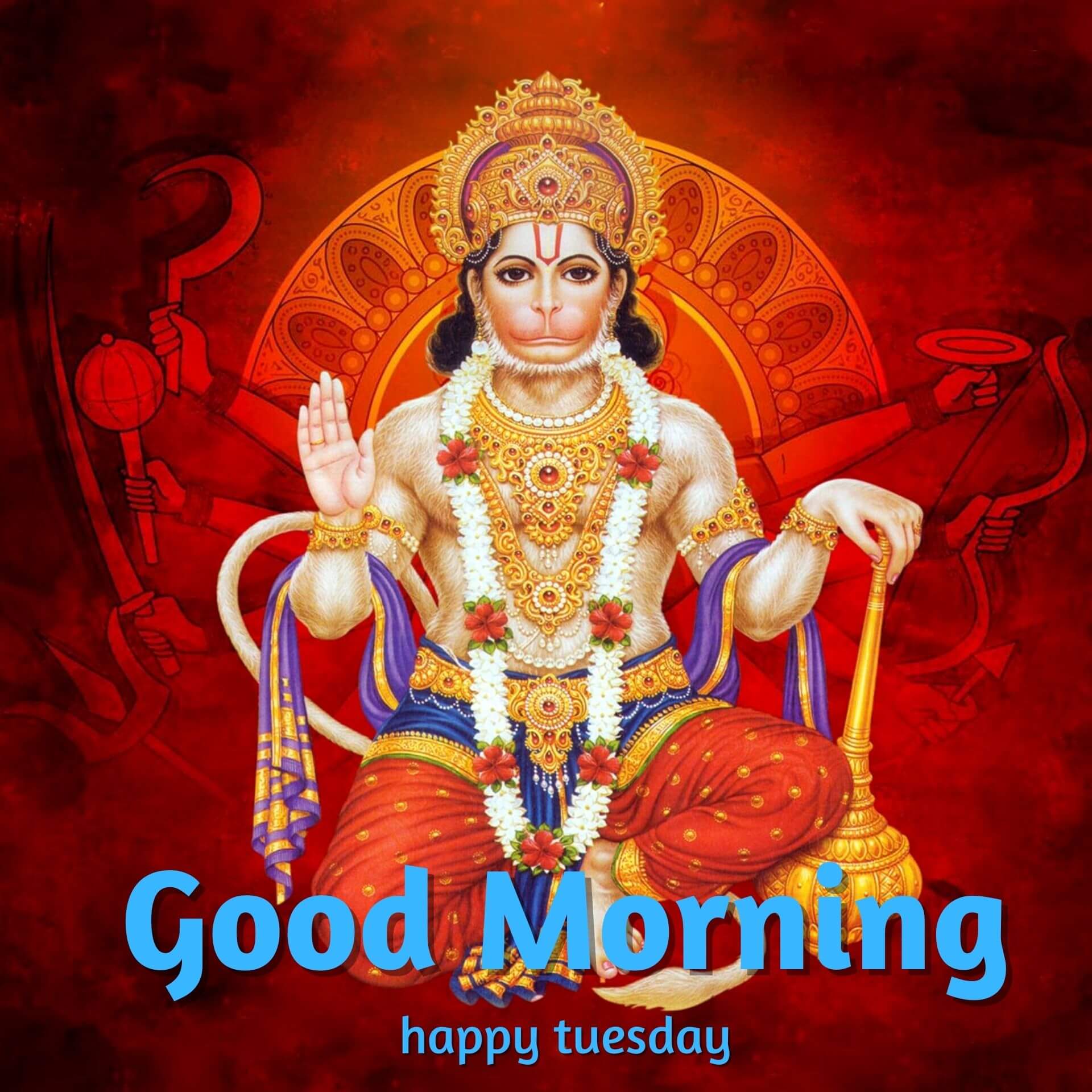 Tuesday Good Morning Pics pictures Download