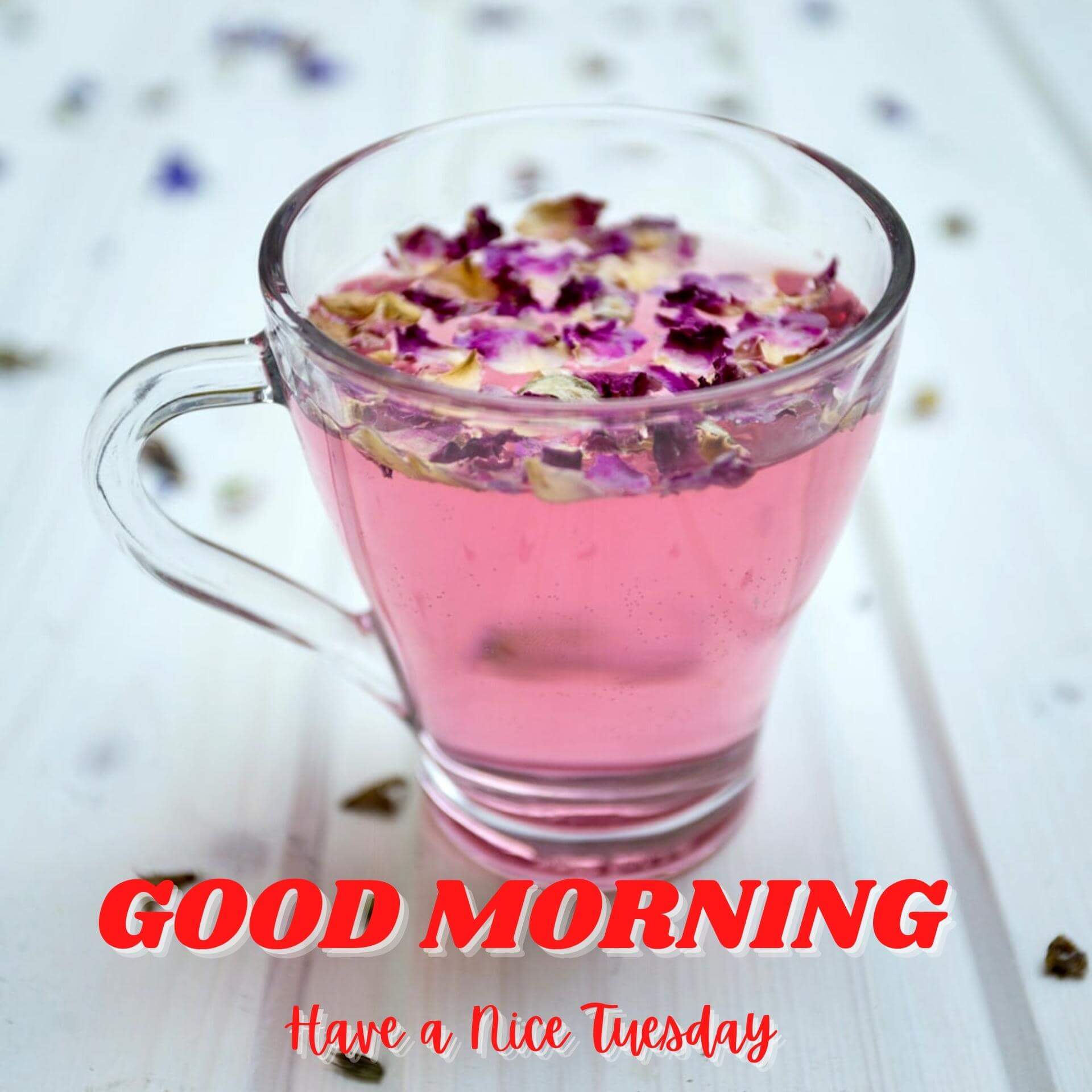 Tuesday good morning Wallpaper HD For Friend