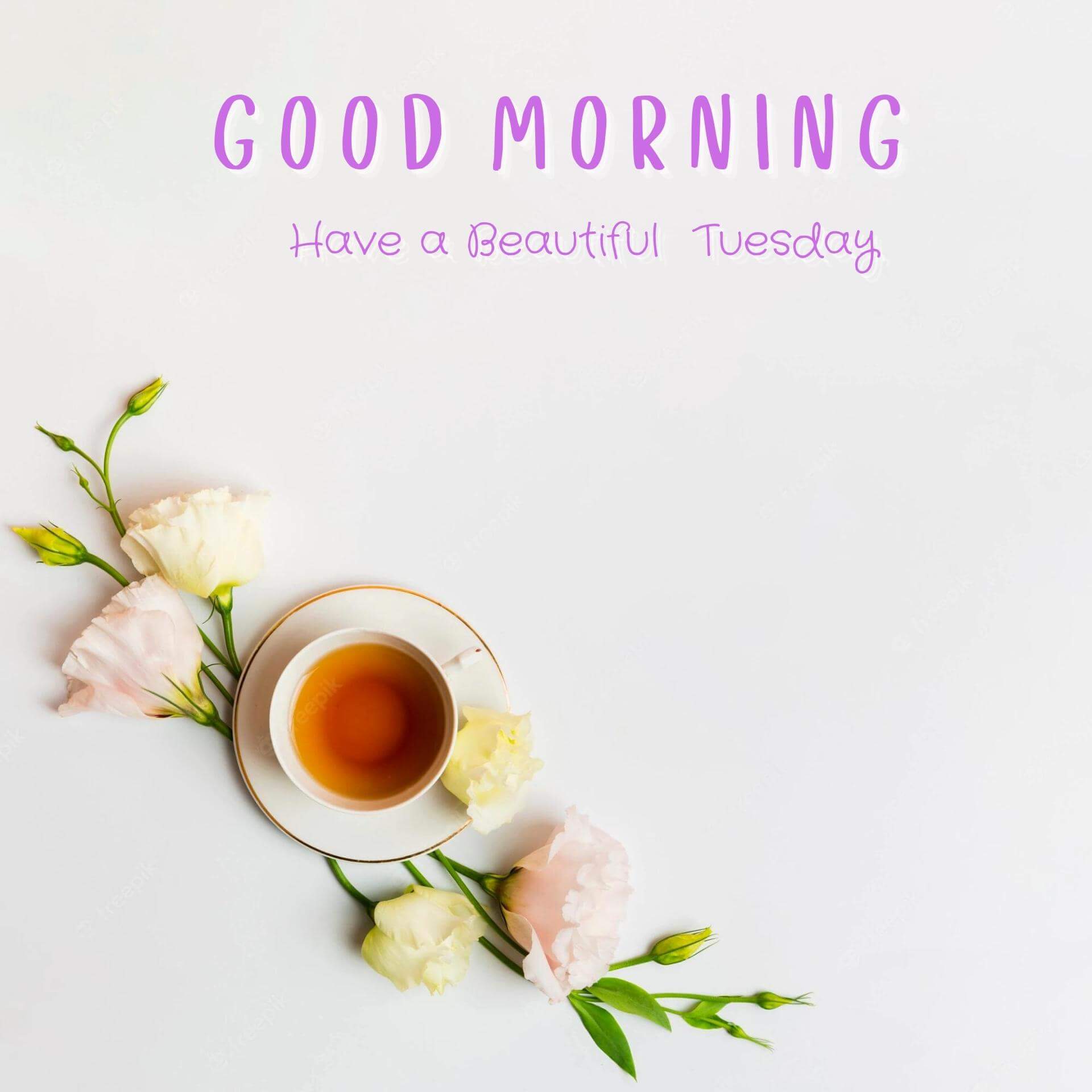 Tuesday good morning Wallpaper HD New Download