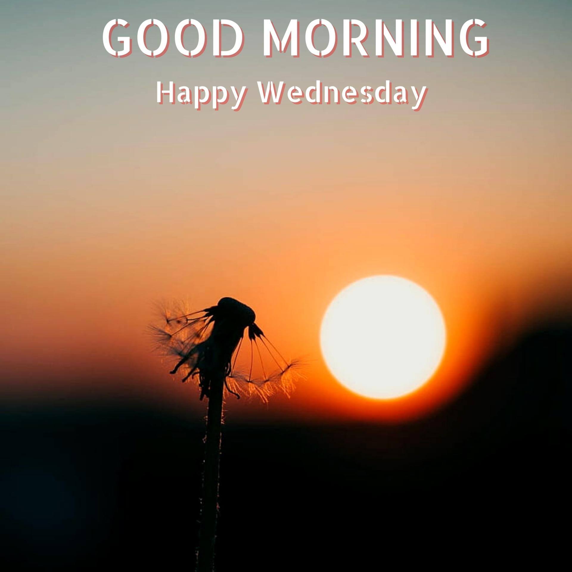 Wednesday good morning Pics Wallpaper With Sunrise 2