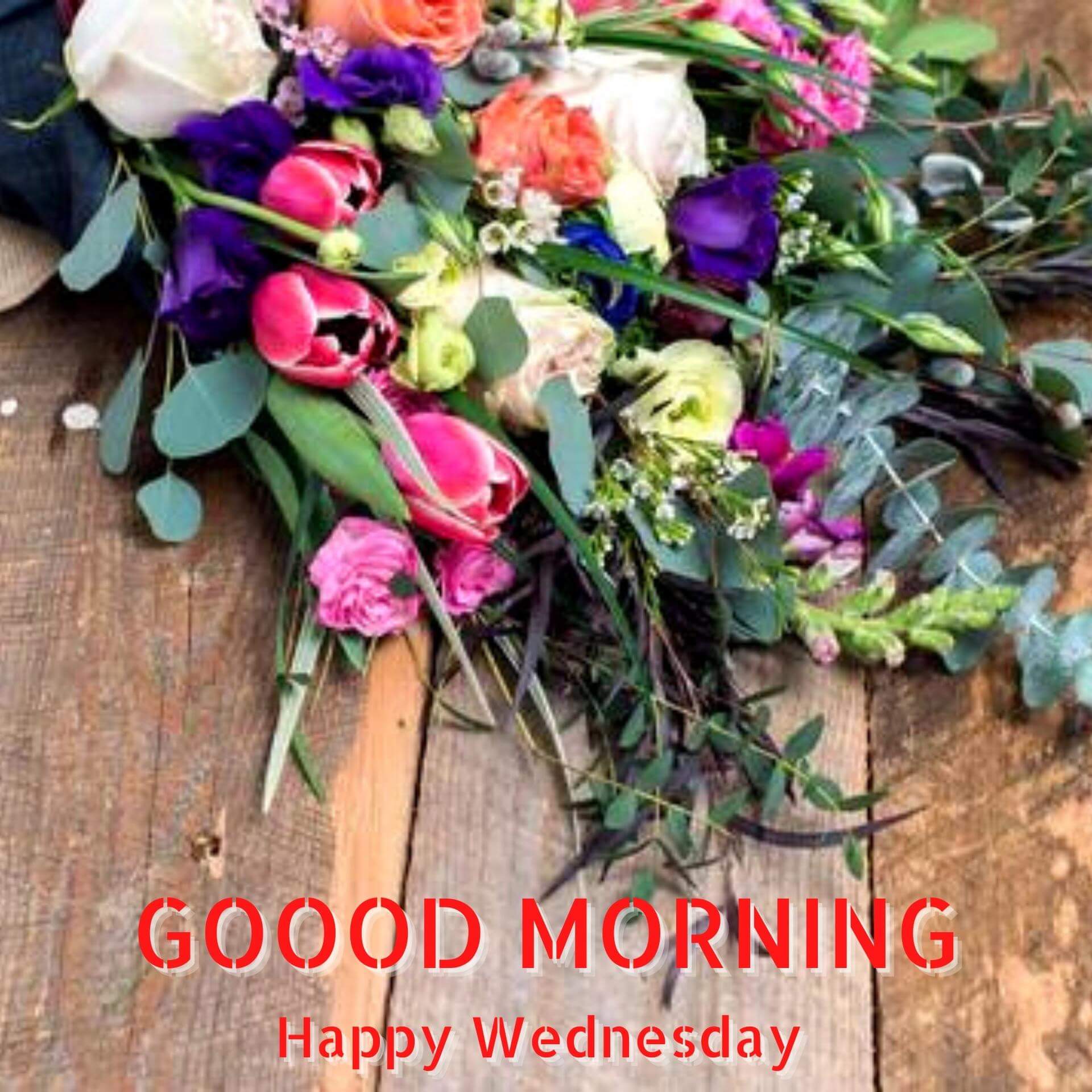 Wednesday good morning photo New Download