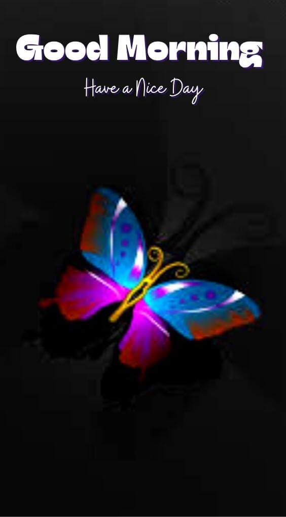 butterfly good morning Pics New Download for Whatsapp