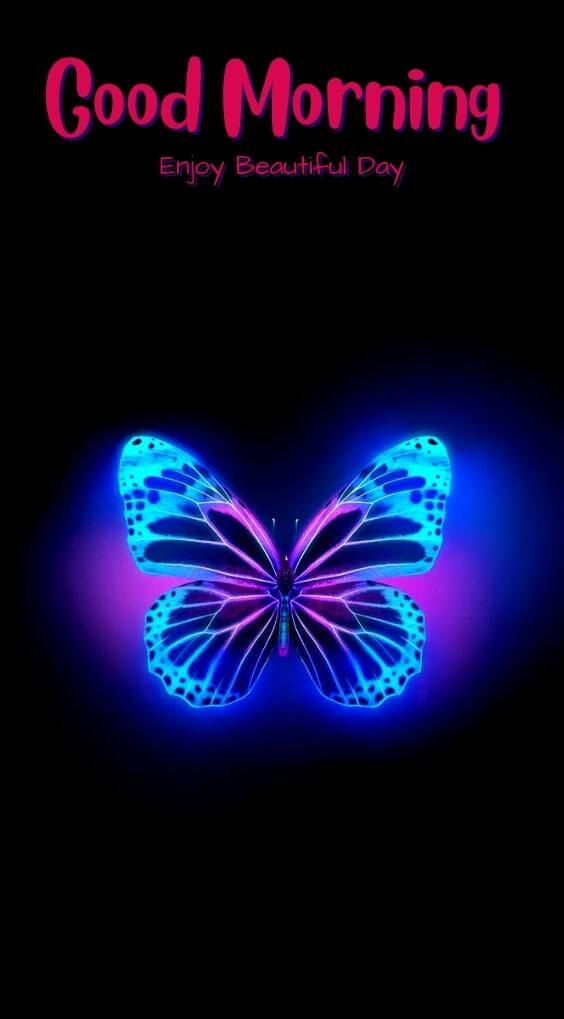 butterfly good morning Pics Wallpaper Free Download 3