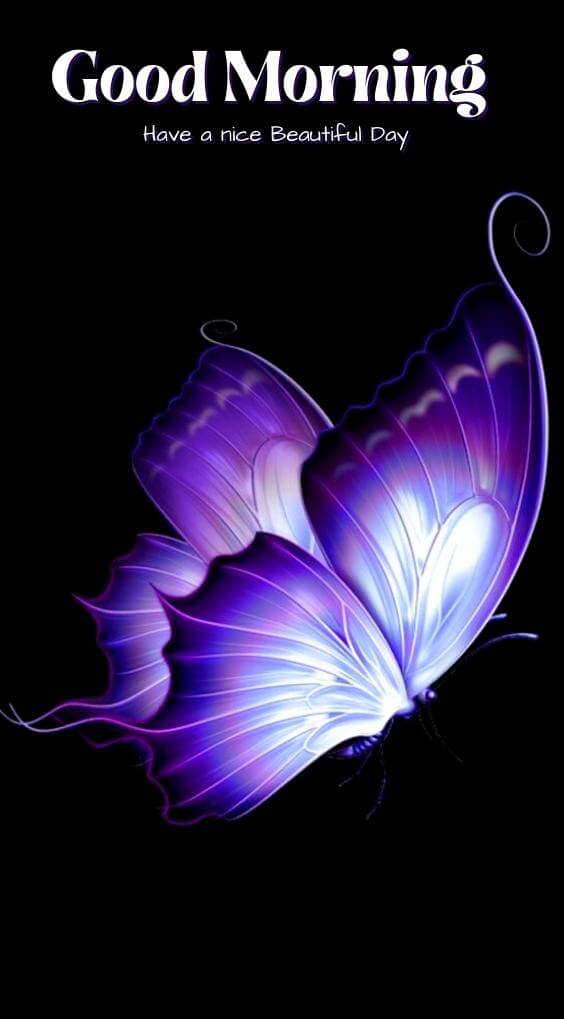 butterfly good morning Wallpaper Pics Download for Whatsapp