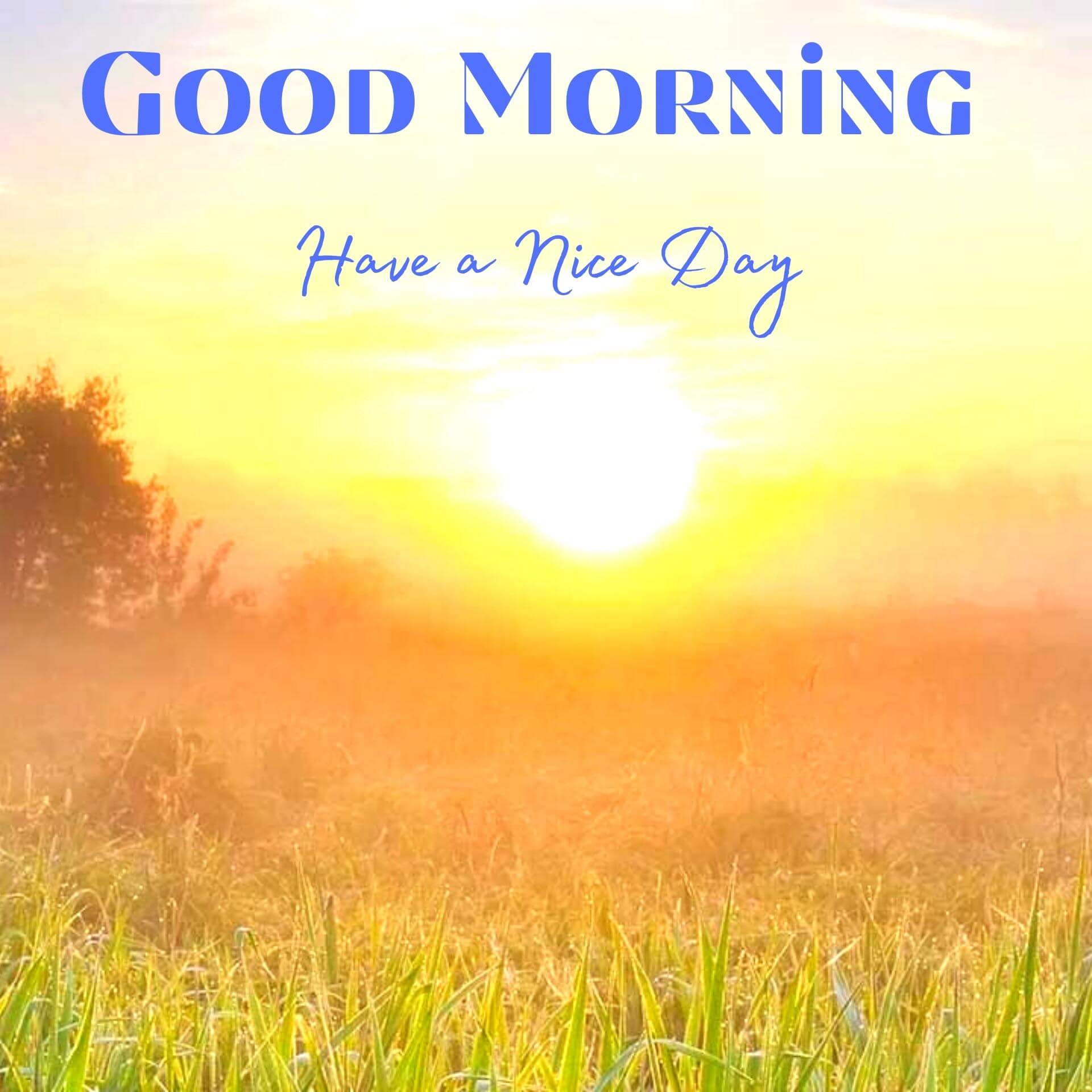 download good morning message