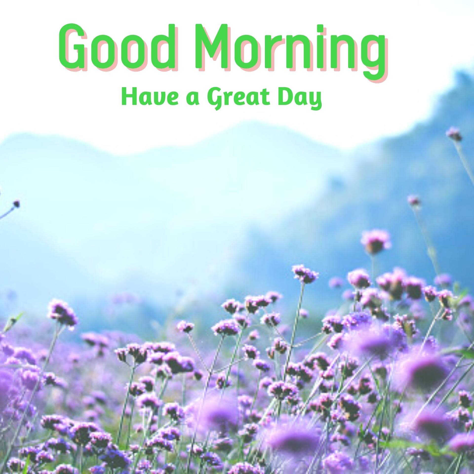free download good morning messages