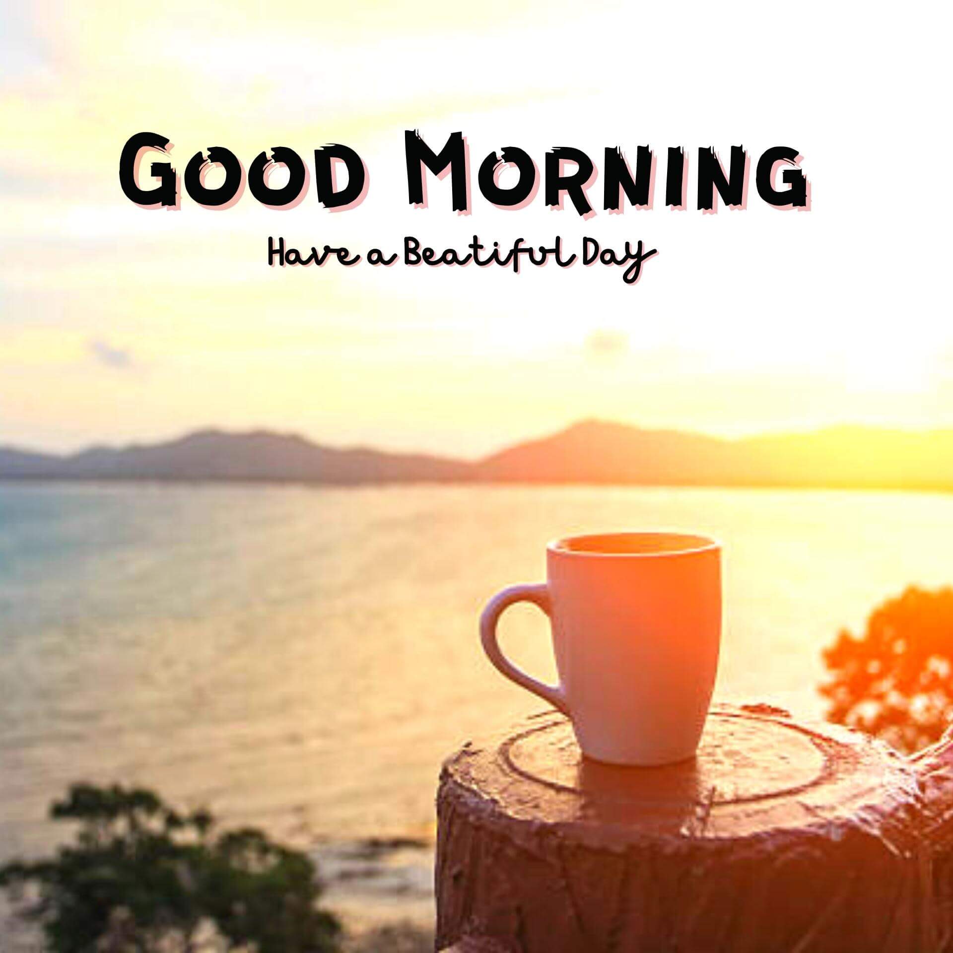free download good morning quotes