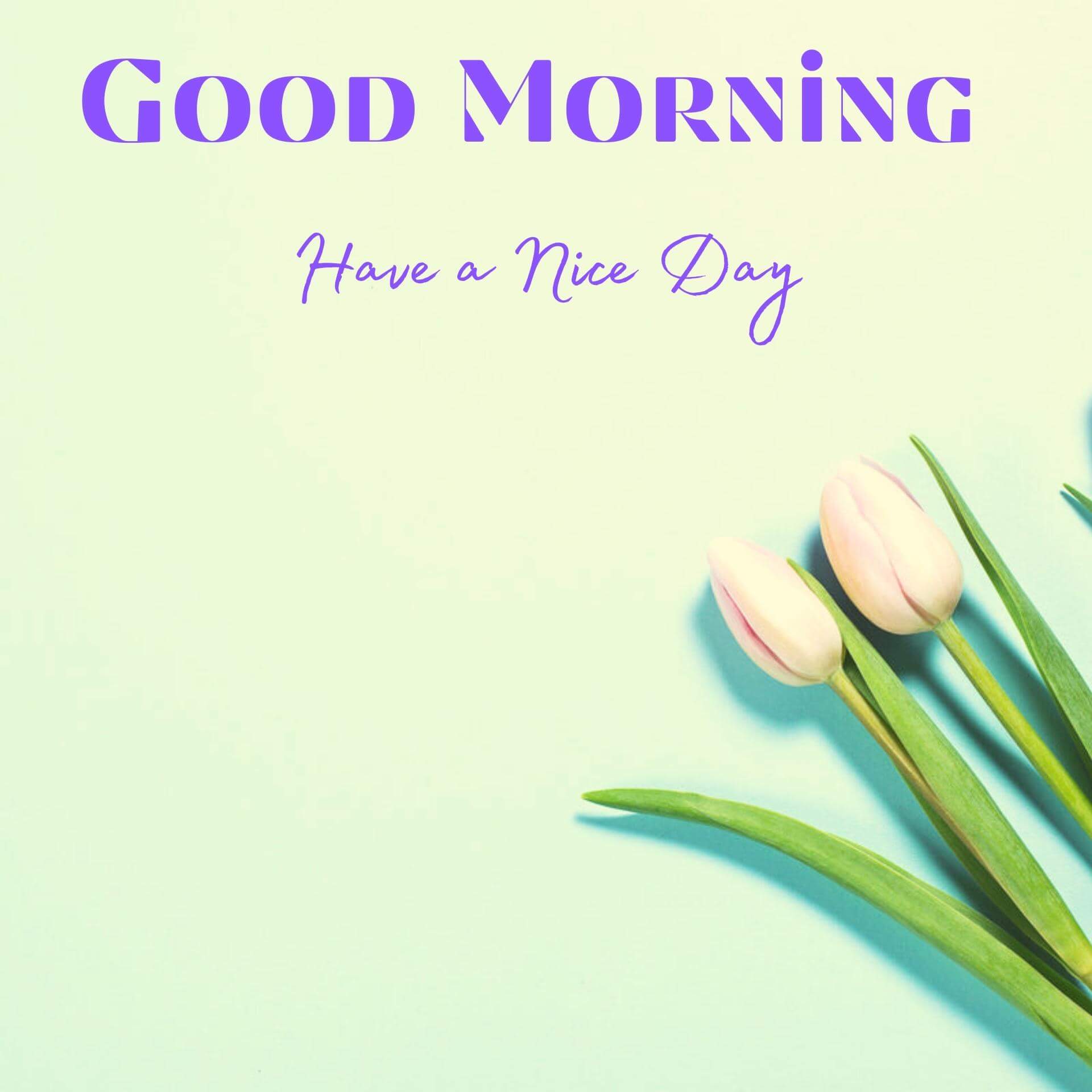 good morning message download