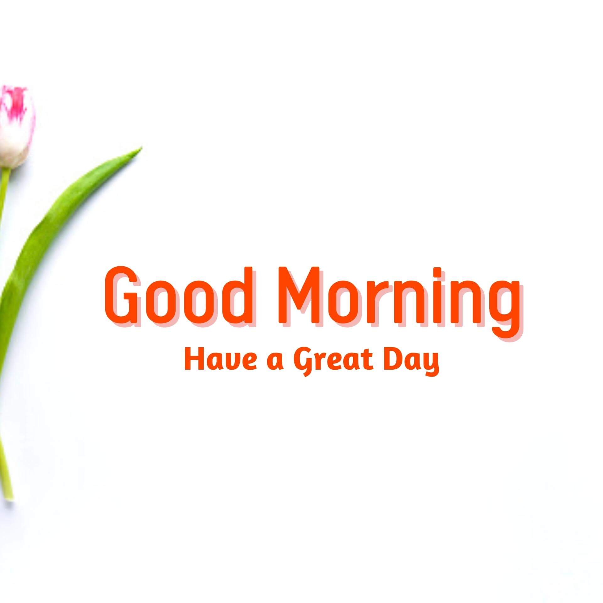 good morning quotes hd download