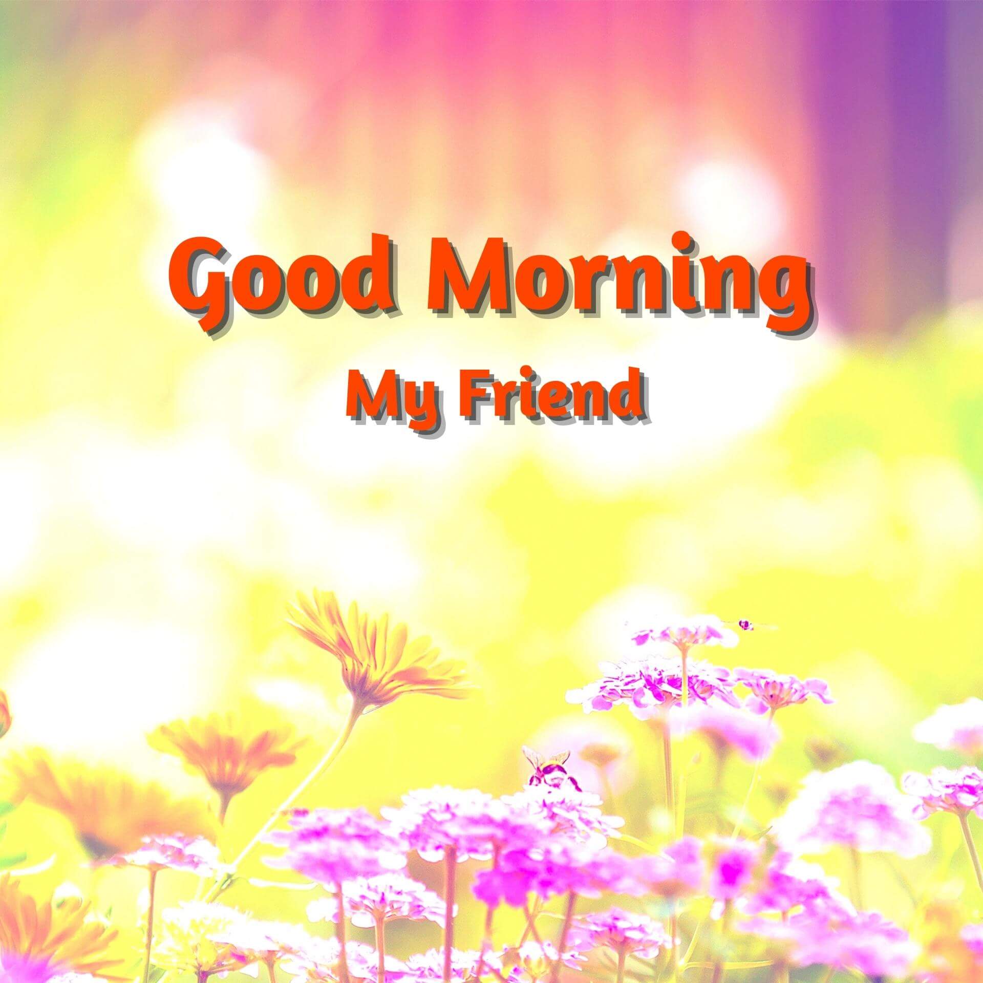 good morning wishes images download
