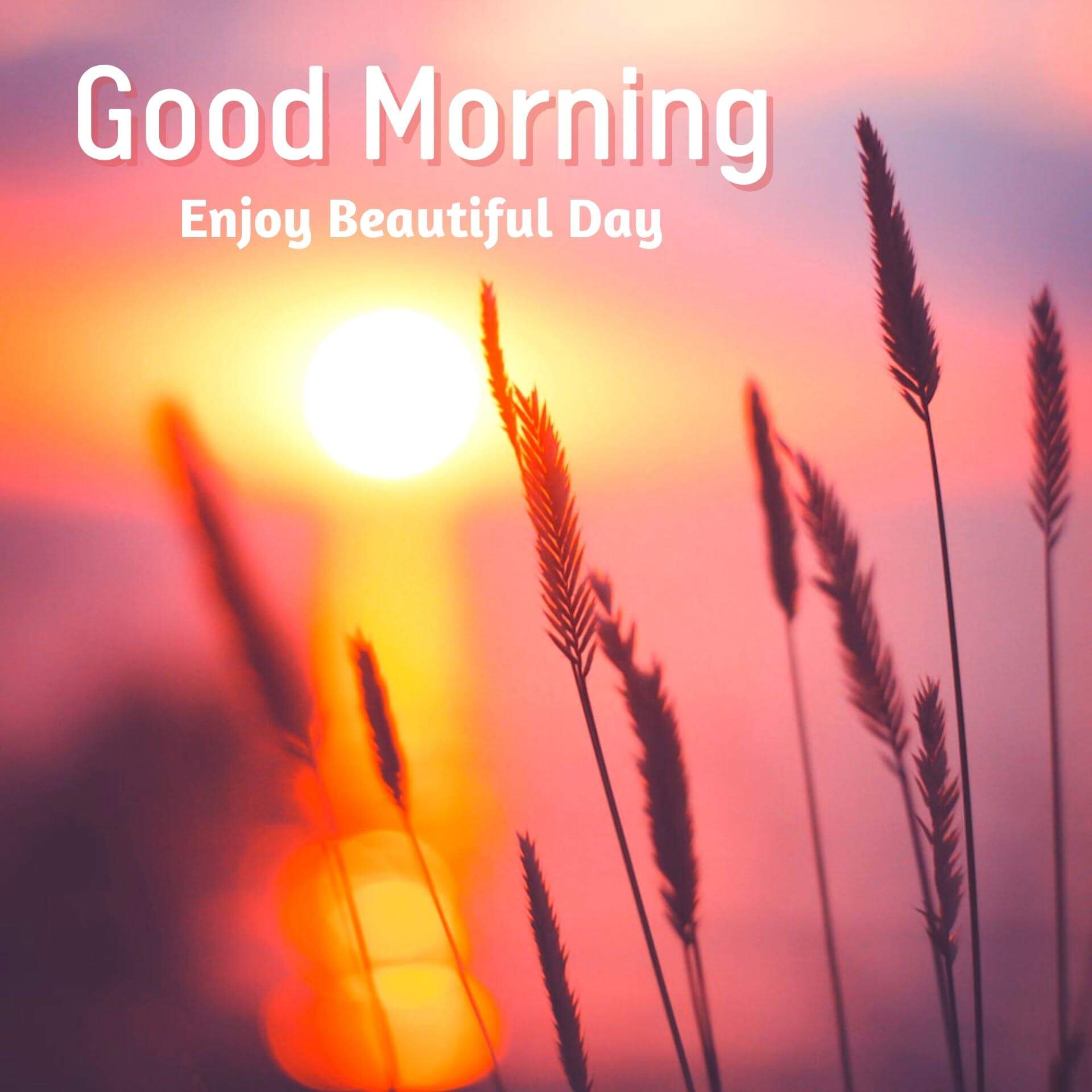 goodmorning wishes images download