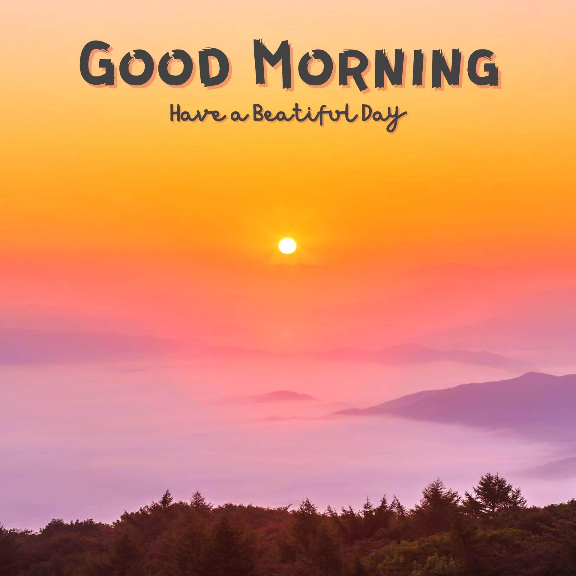 images of good morning free download