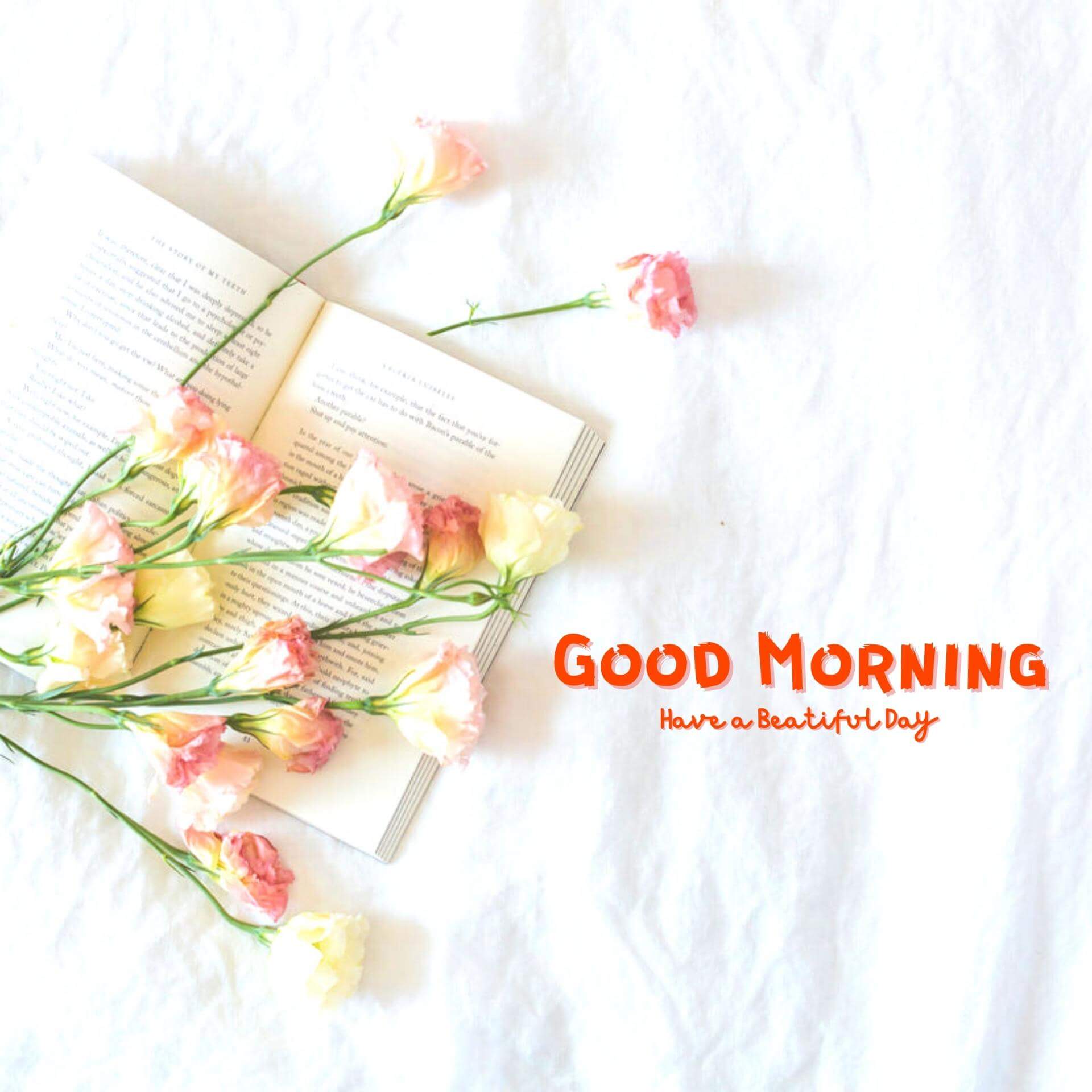 www.good morning images free download