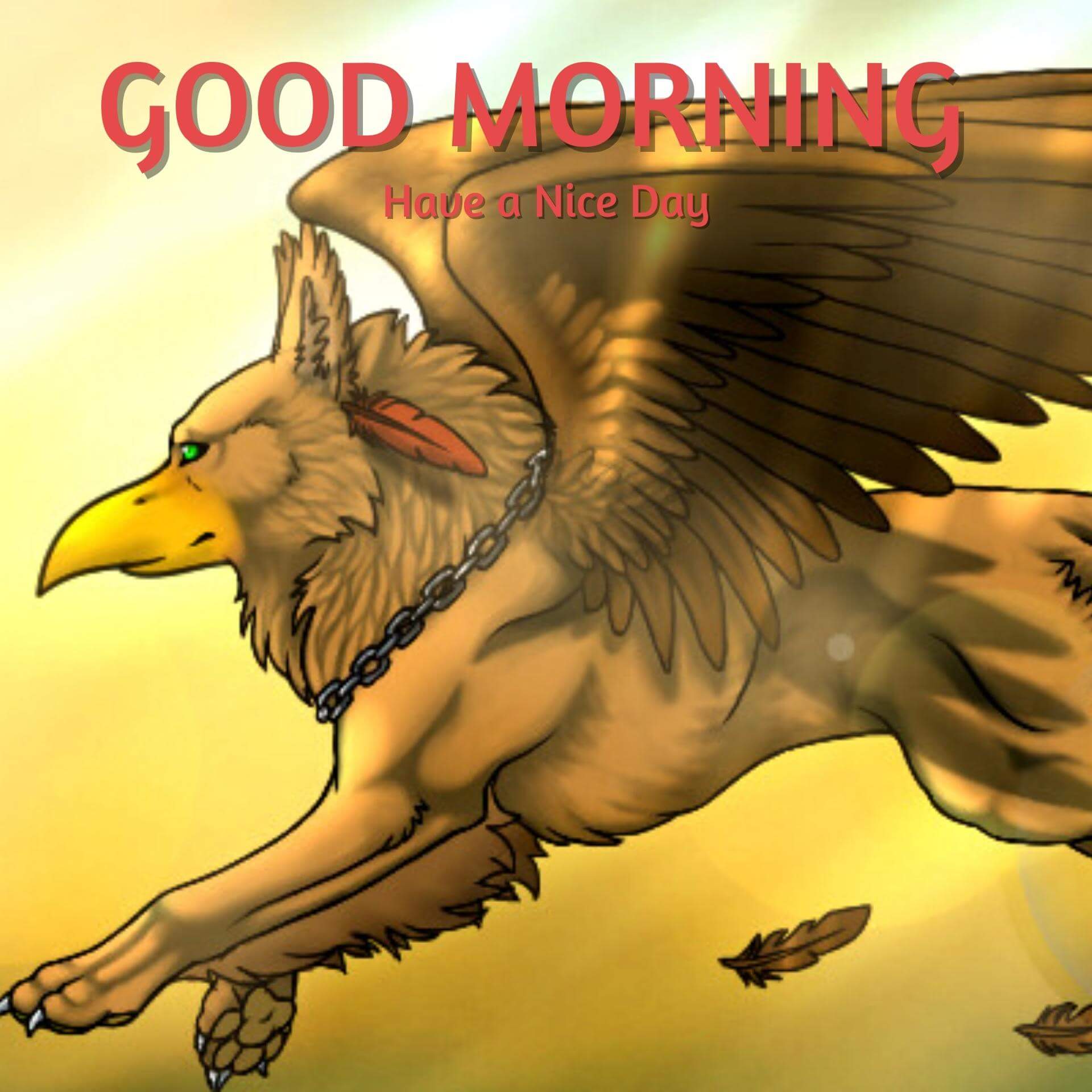 Animal Good Morning Wallpaper Download