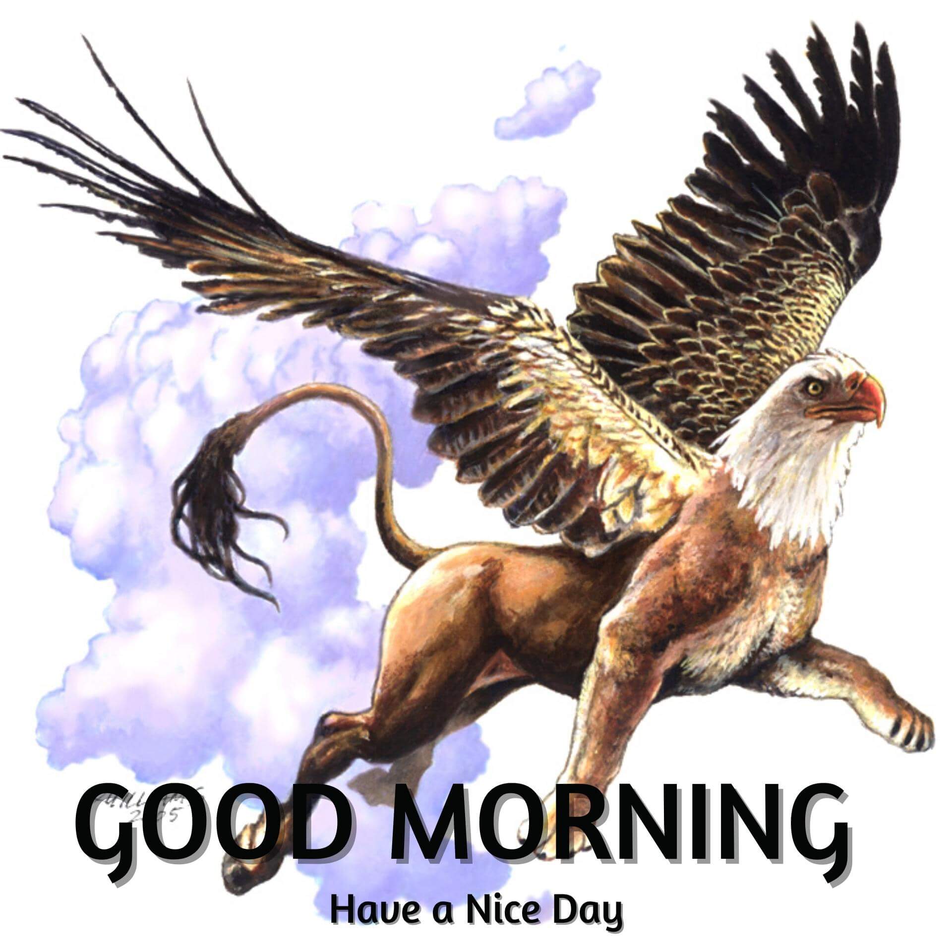 Animal Good Morning photo Download 2023