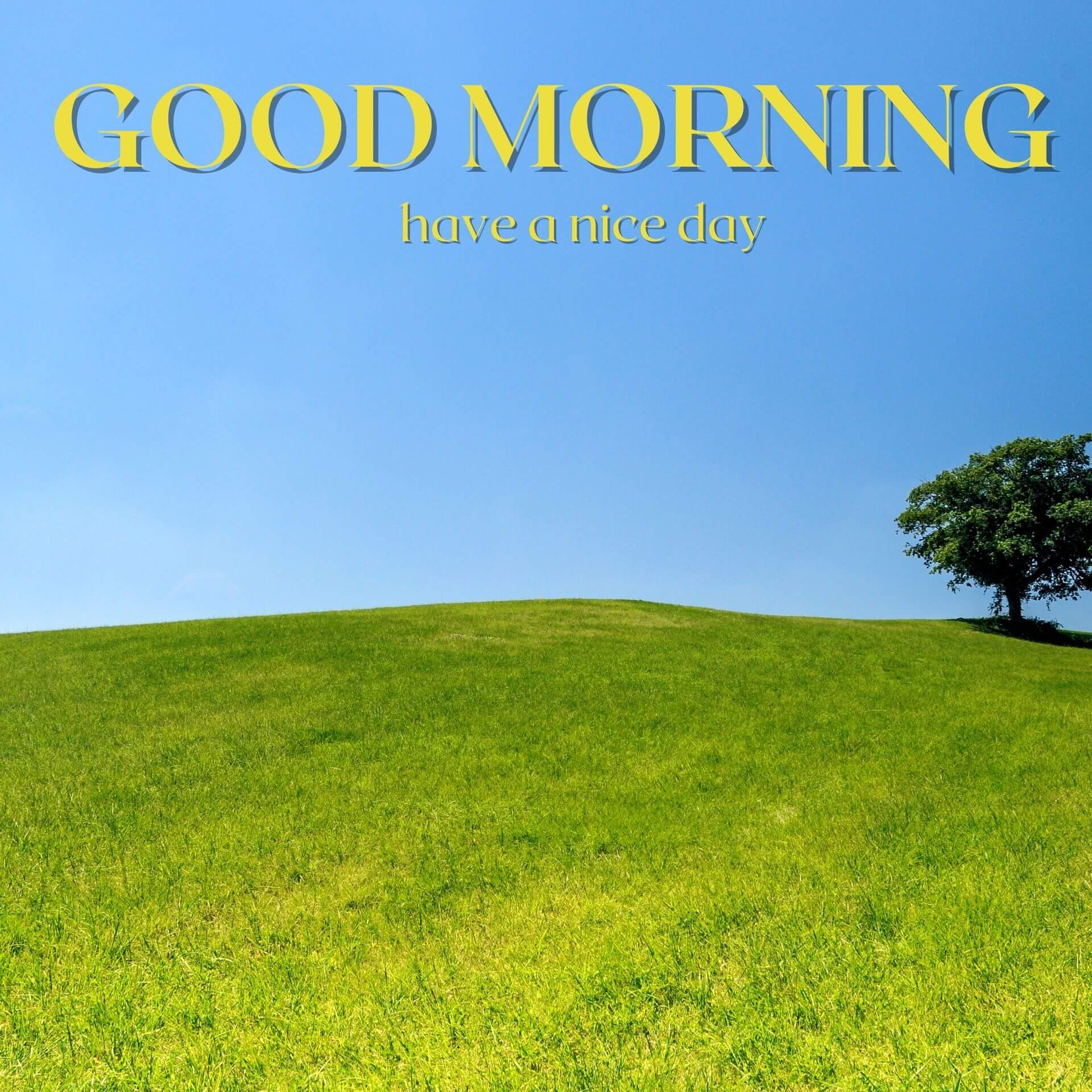 Best HD Nature Good Morning Wallpaper