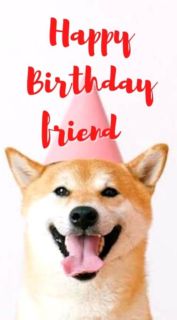 Free HD Happy Birthday Images for puppy