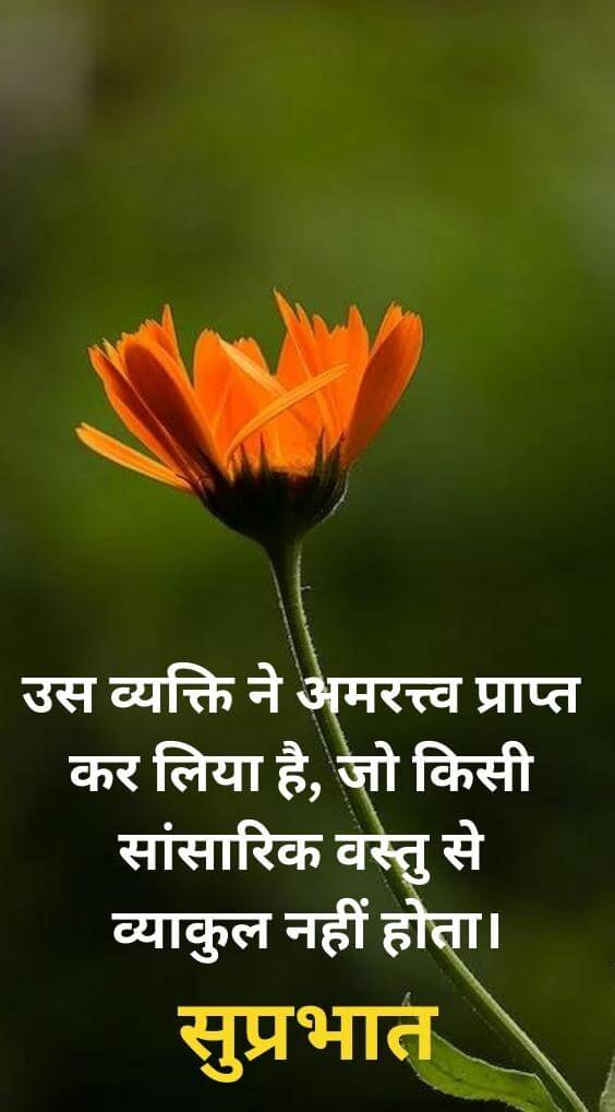 Free HD New Hindi Good Morning Quotes Wallpaper for Whatsapp