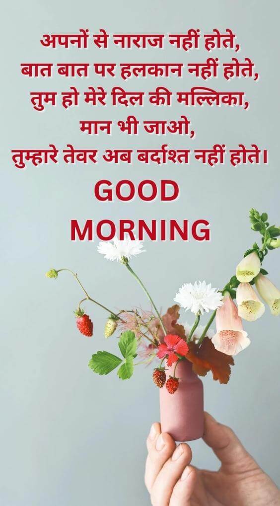 Free Hindi Good Morning Quotes Images Download 2023