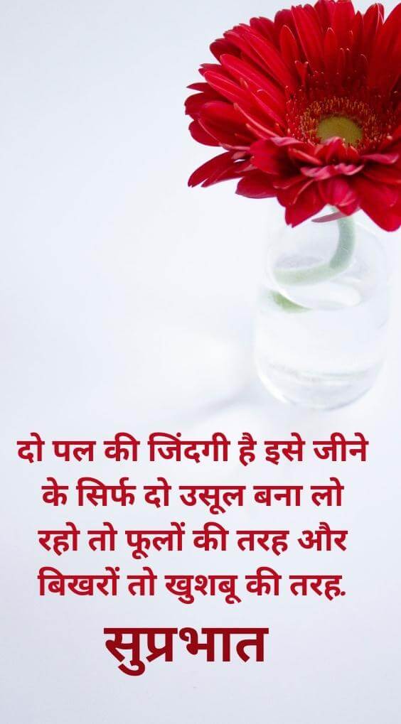 Hindi Good Morning Quotes Images