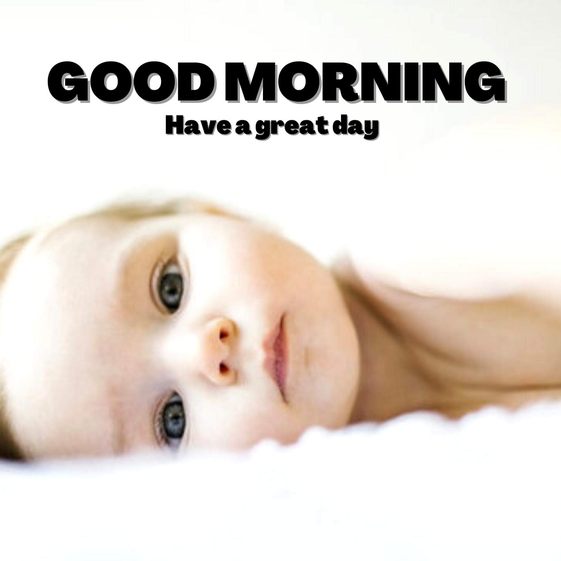 New HD Good Morning Wallpaper Pics Download