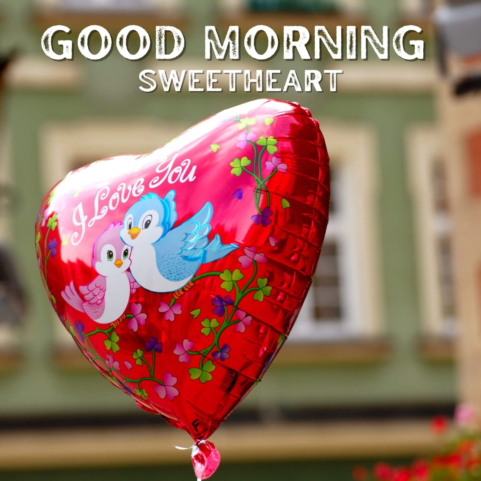 New HD Romantic Good Morning Images Download