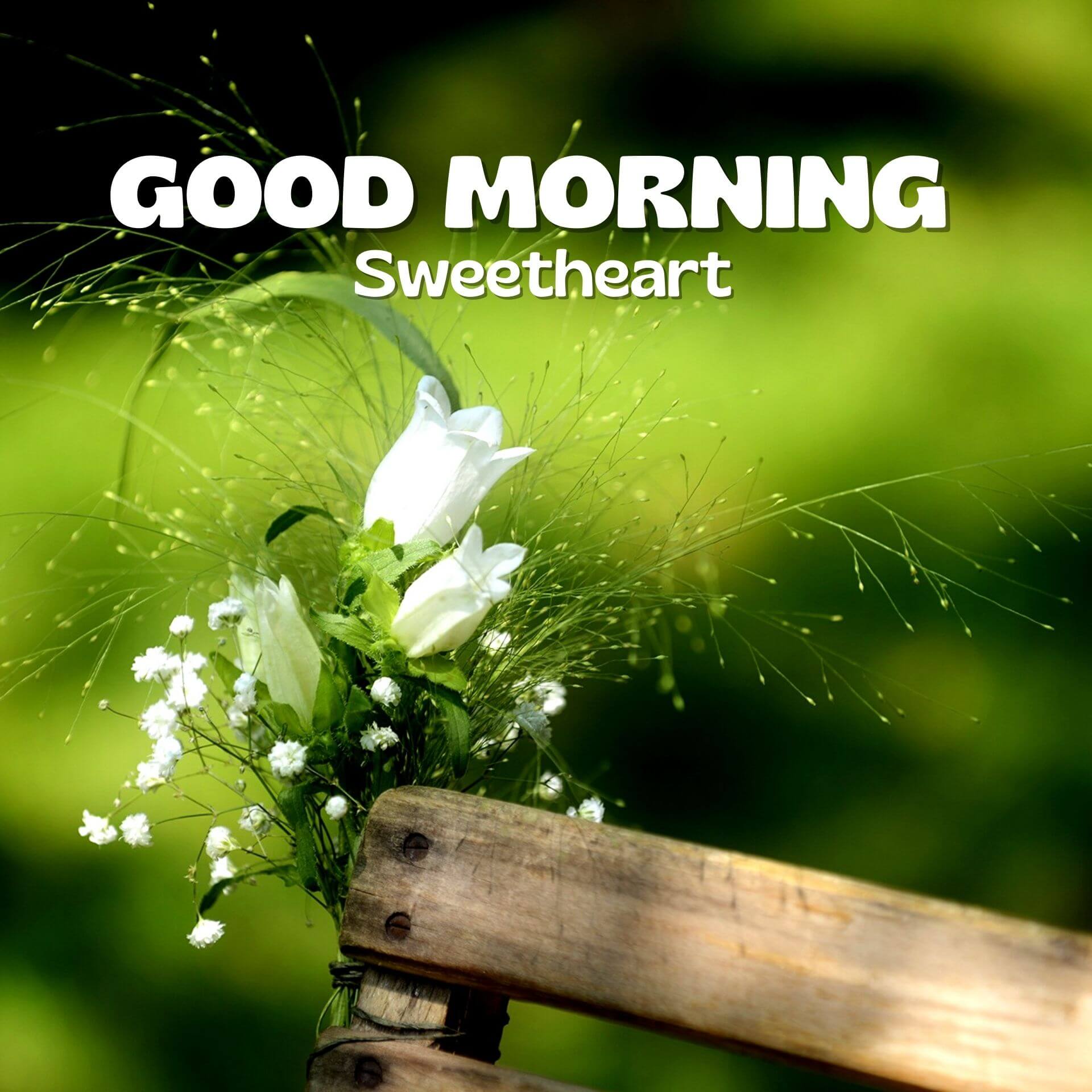 Romantic Good Morning Pics Download 2023
