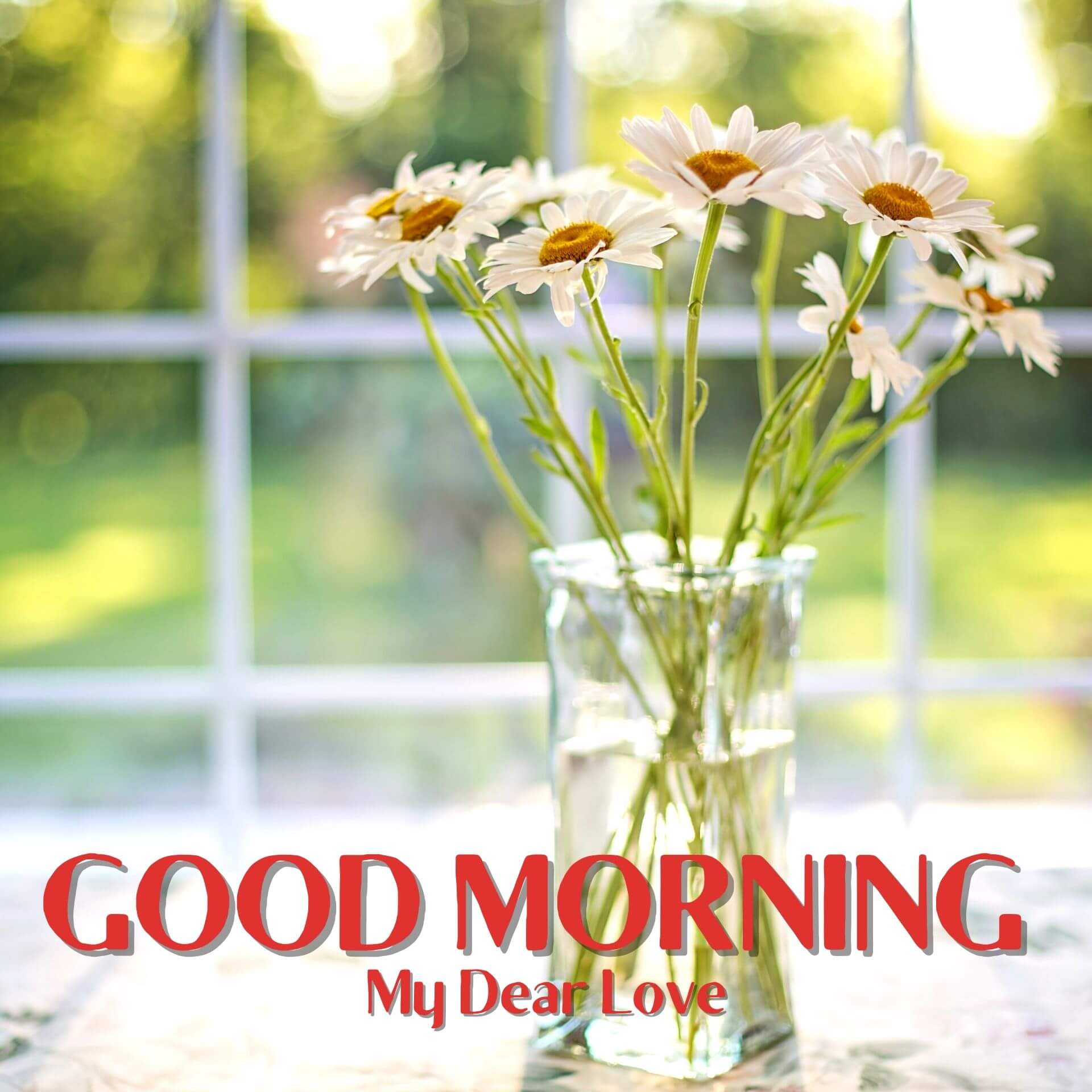 Romantic Good Morning Pics Wallpaper Download 4
