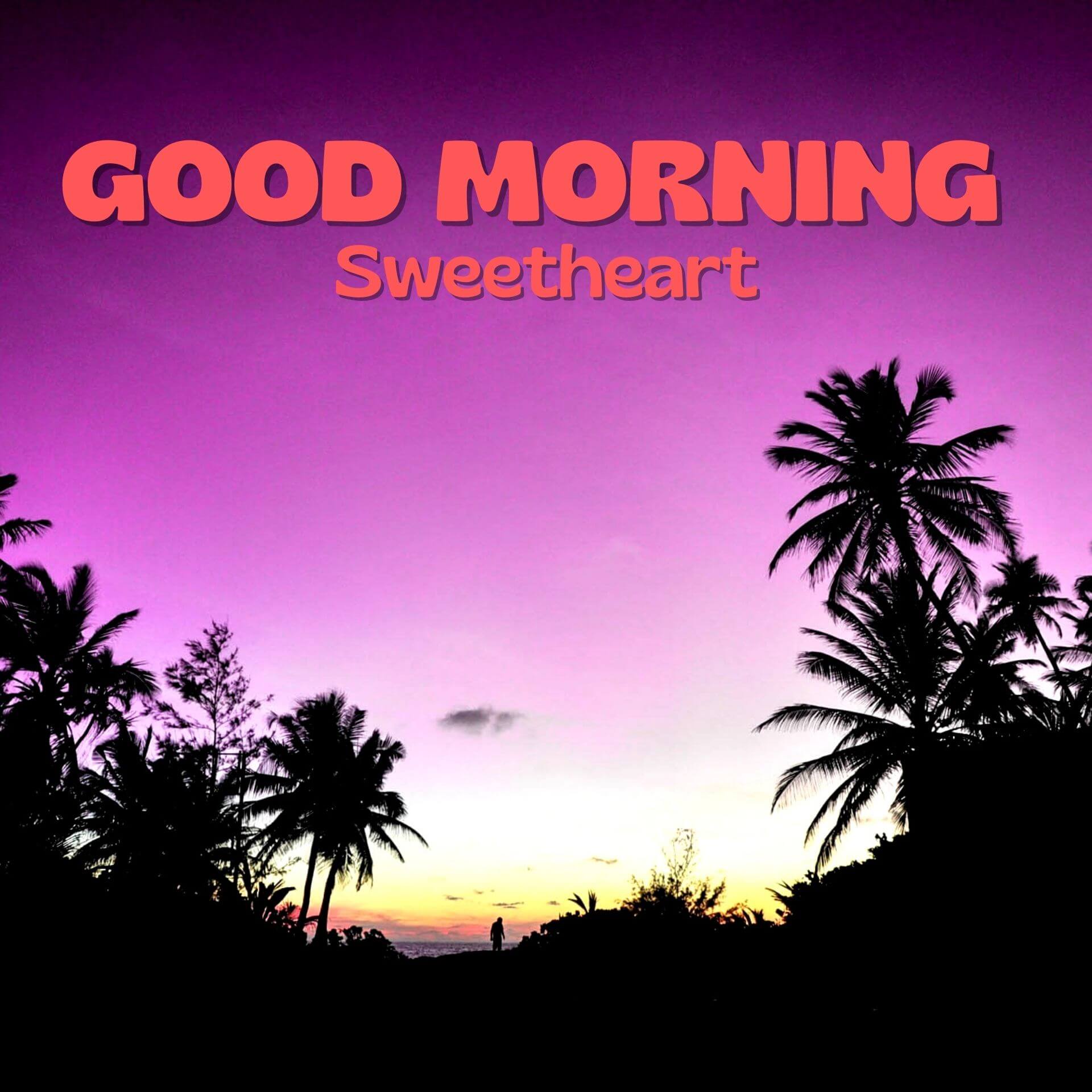 Romantic Good Morning Pics Wallpaper Download 5
