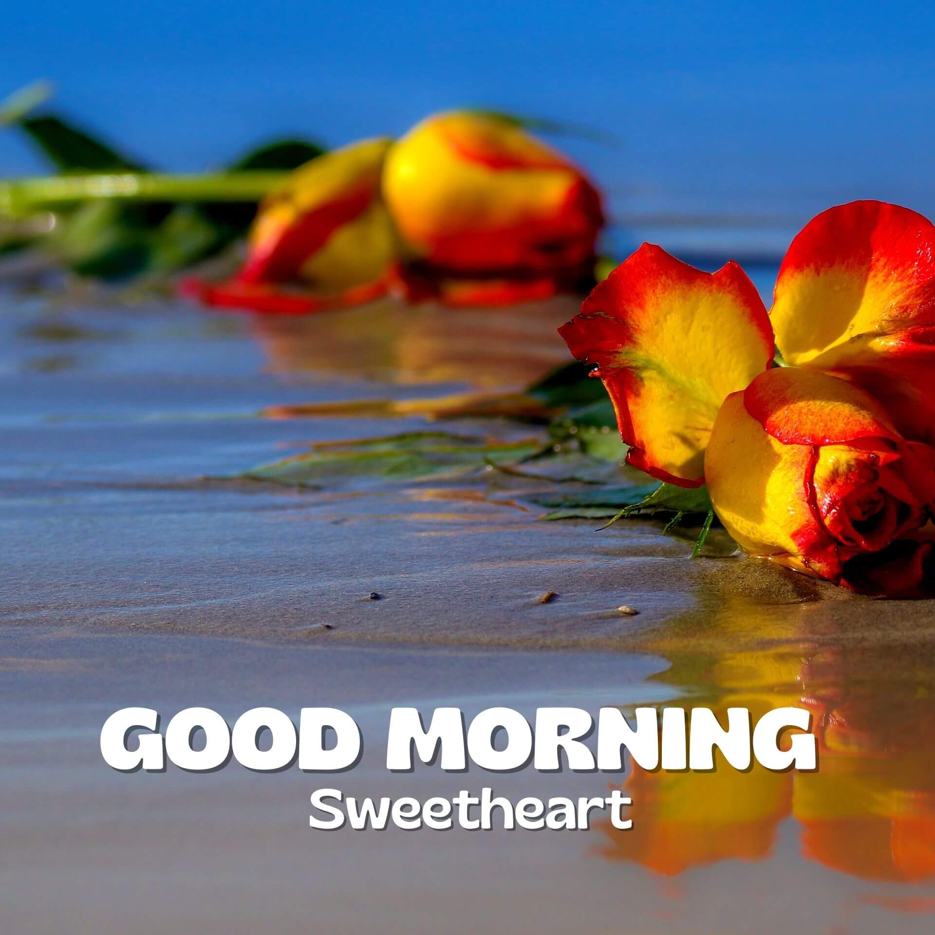 Romantic Good Morning Pics Wallpaper for Facebook 4