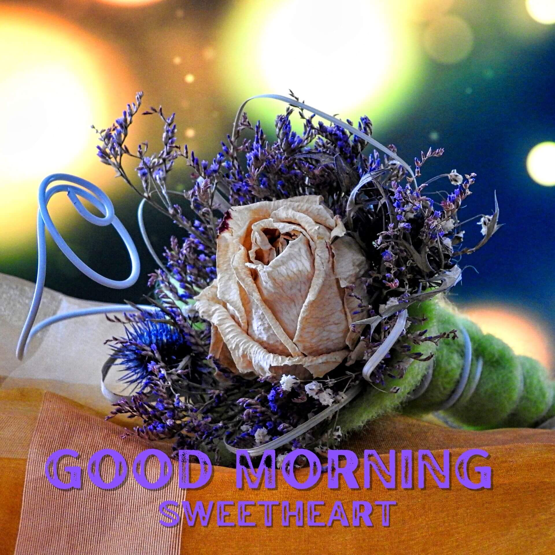 Romantic Good Morning Wallpaper 2023 Download 2