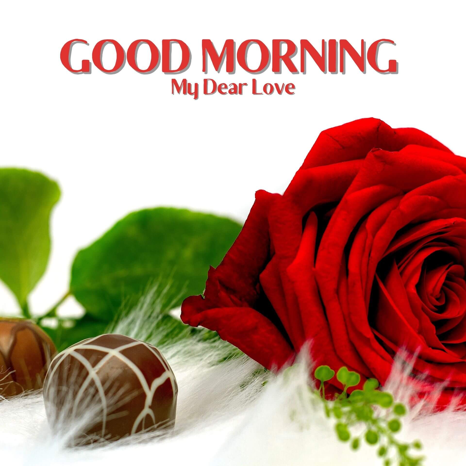 Romantic Good Morning Wallpaper Download 2