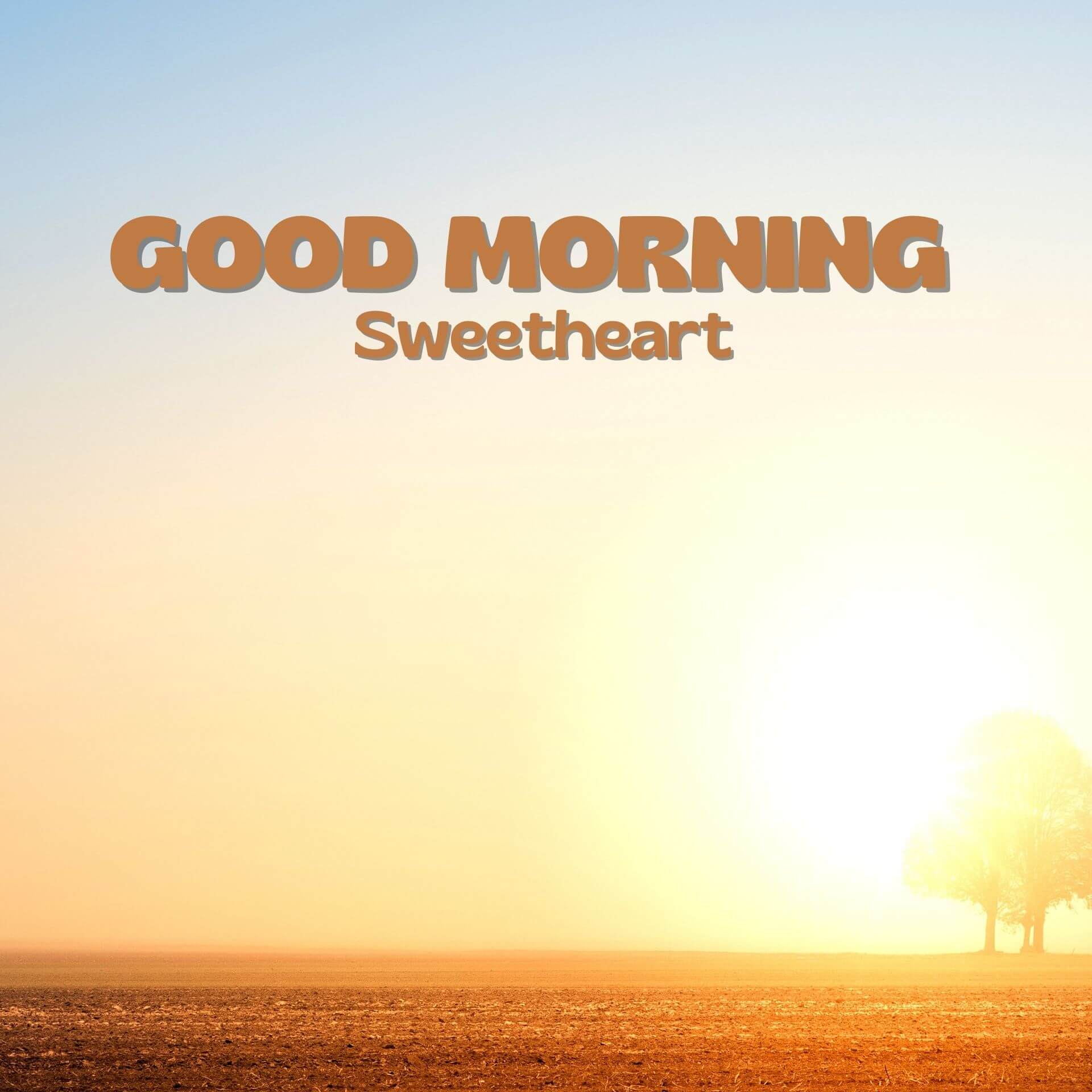 Romantic Good Morning Wallpaper Download 3