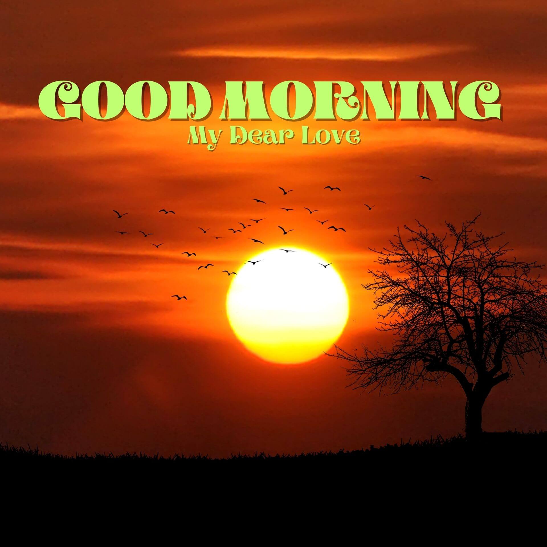Romantic Good Morning photo Free Download 2