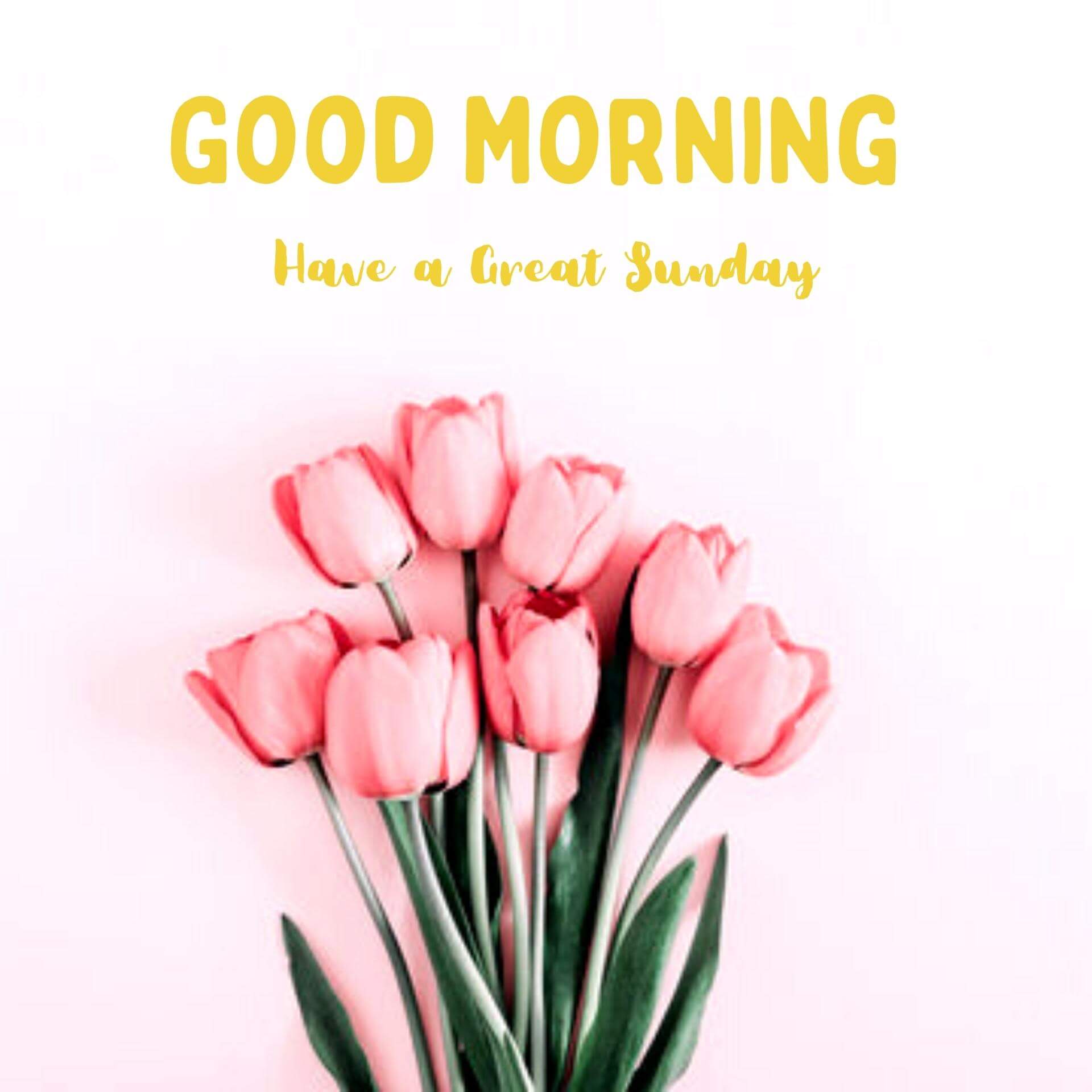 Sunday Good Morning Wallpaper Free Download 4