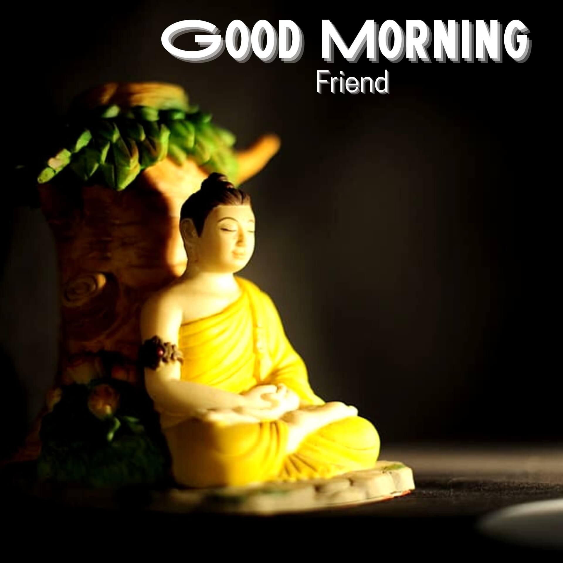 Free HD Gautam Buddha Good Morning Images Download