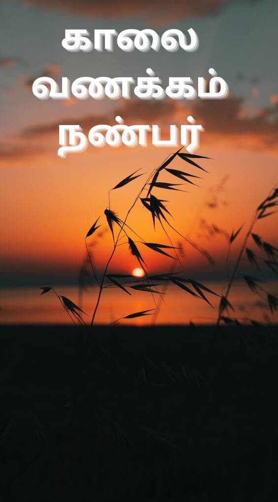 Free HD Tamil Good Morning Images Download