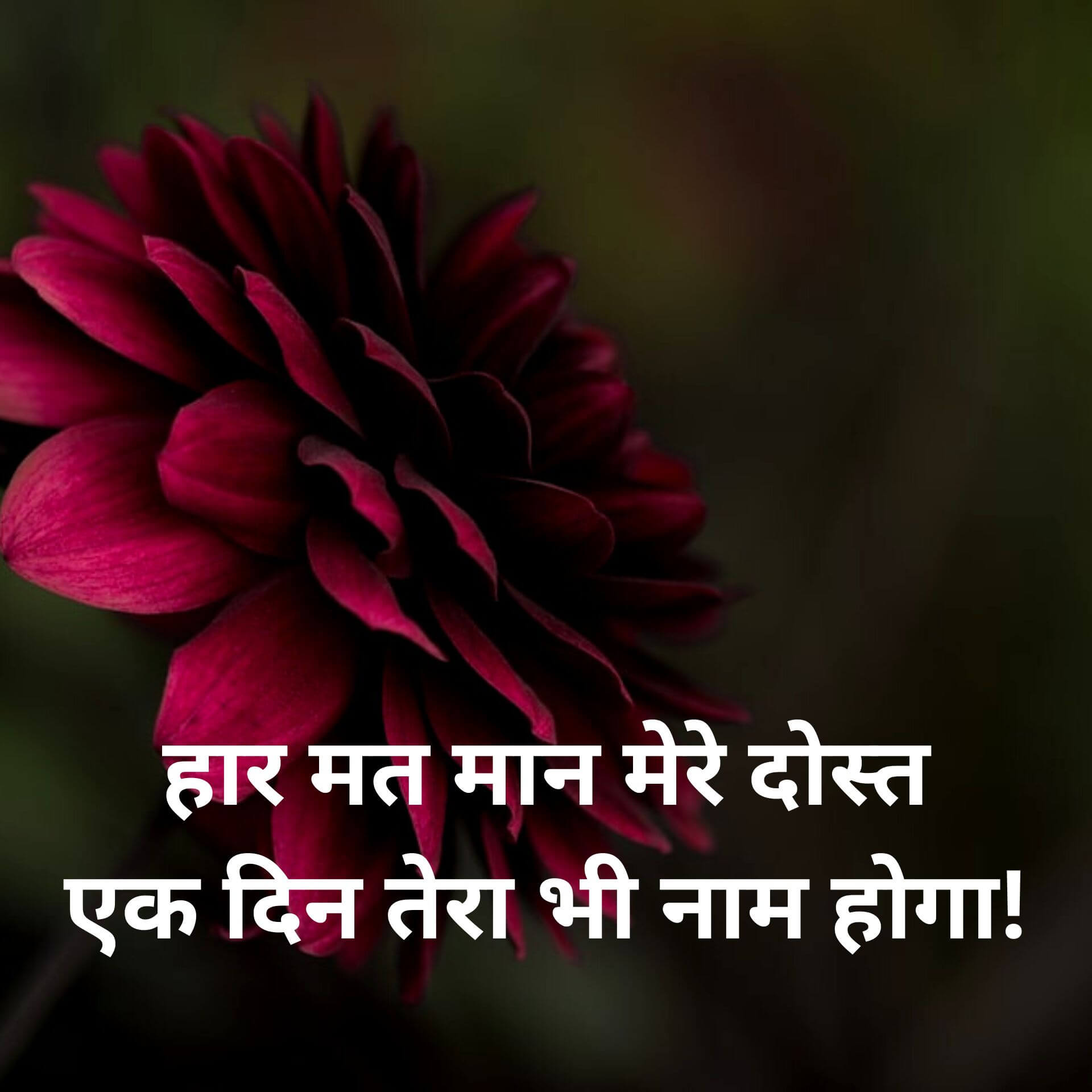Free Hindi Motivational Quotes Wallpaper Download for Whatsapp