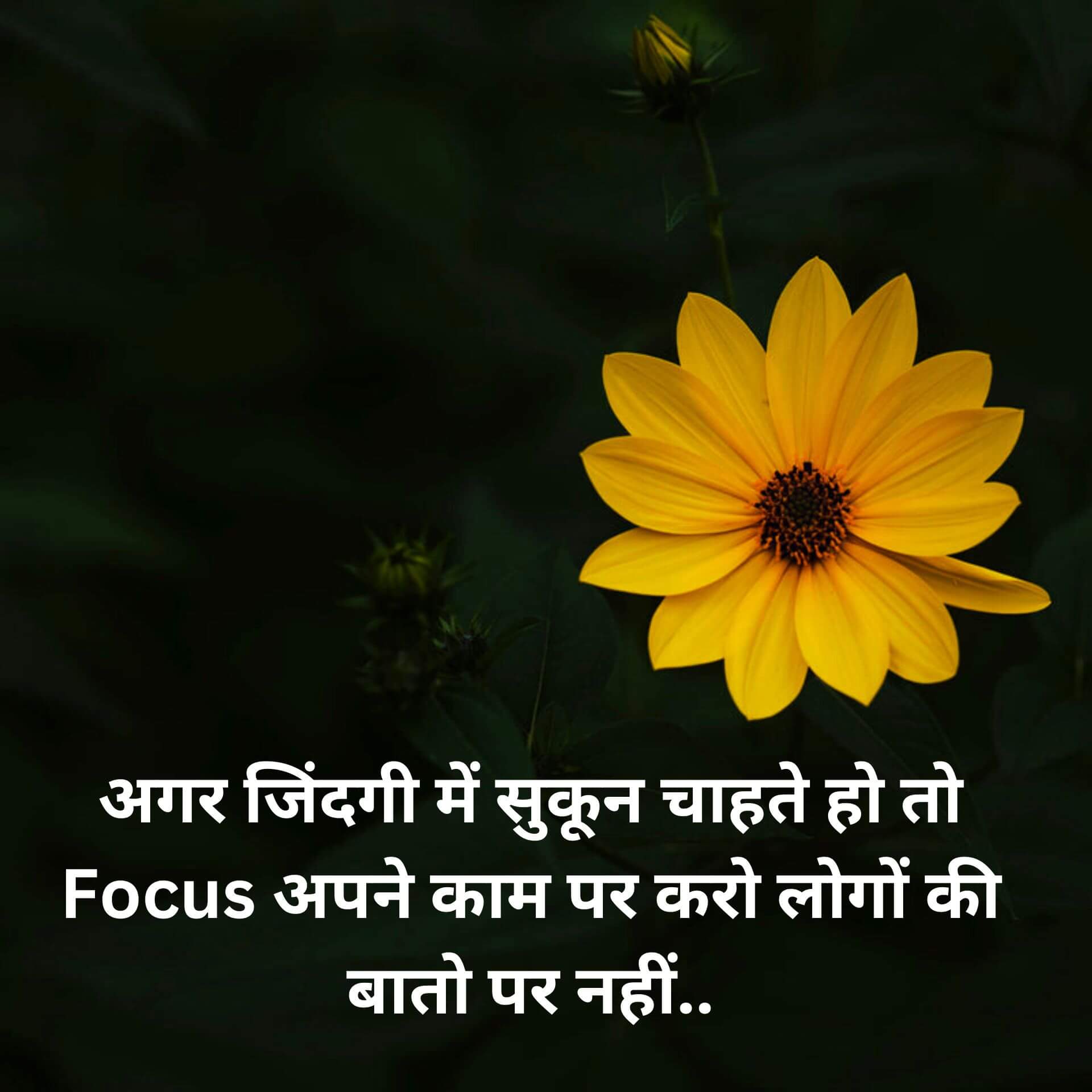 Free Hindi Motivational Quotes Wallpaper New Download