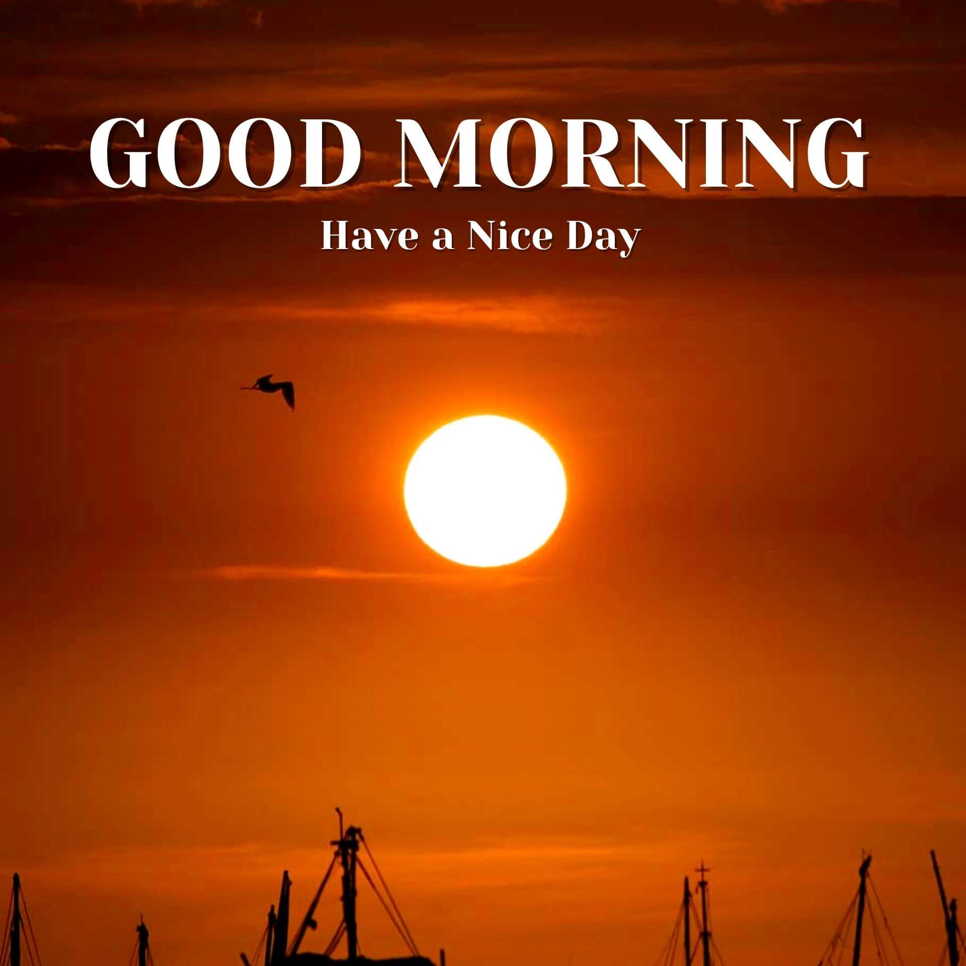 Free Sunrise Good Morning Images Download