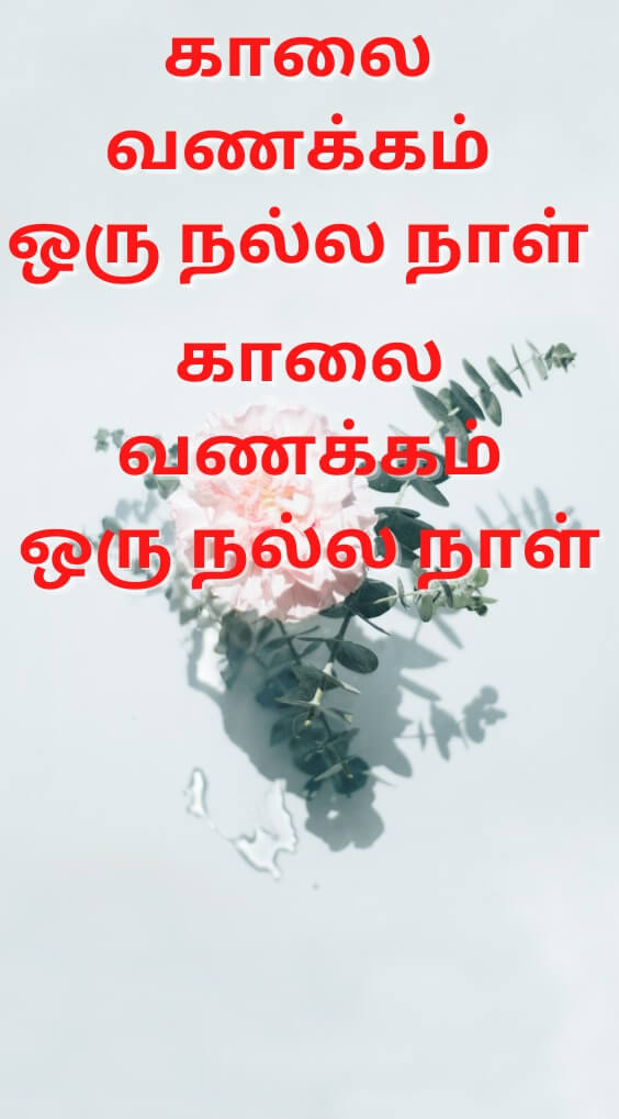 Free Tamil Good Morning Images HD Download for Whatsapp