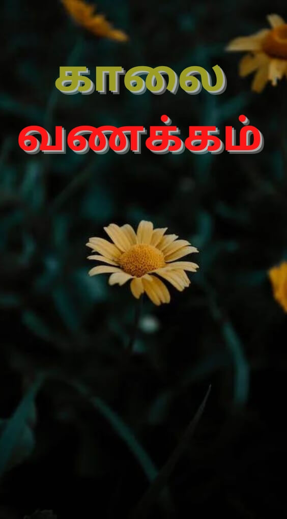 Free Tamil Good Morning Wallpaper Download Free