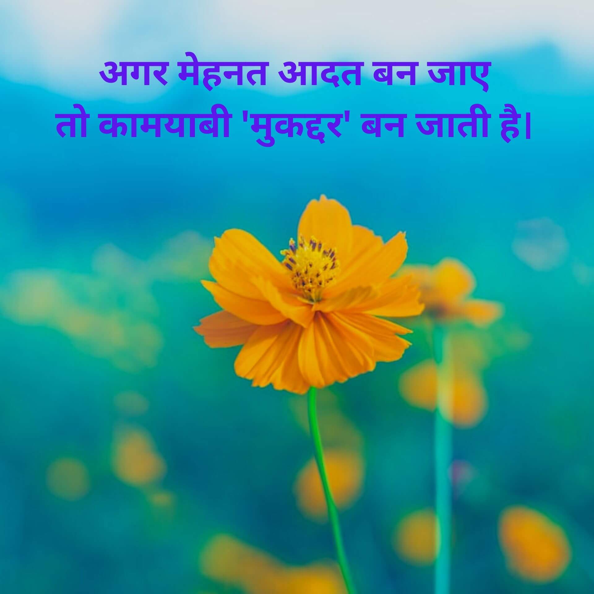 Hindi Motivational Quotes photo Download 2